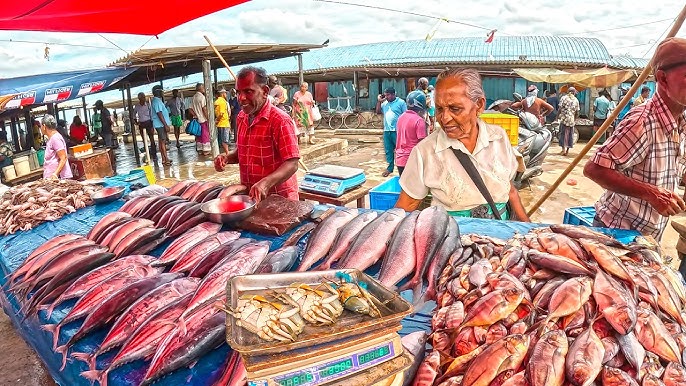Negombo Fish Market
