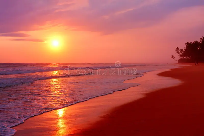 Scenic Sunset